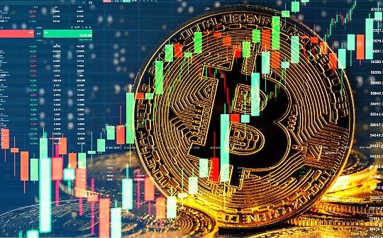 Solana链上五月发行近50万个新代币：市场动态与趋势分析
