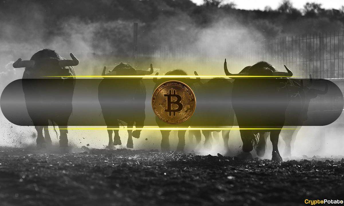MBAex交易平台C2C交易流程详解：一步指导您完成交易
