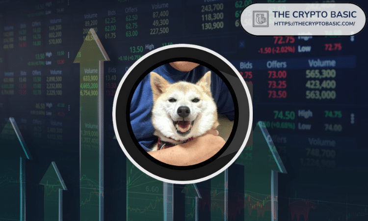 Shiba Inu：2024年将烧毁多少SHIB代币？最新烧毁计划解析