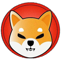 Pi Coin KYC认证进展：2月28日最终截止日期临近