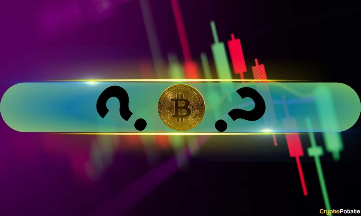 Coinw币赢网交易平台：苹果与安卓App下载指南