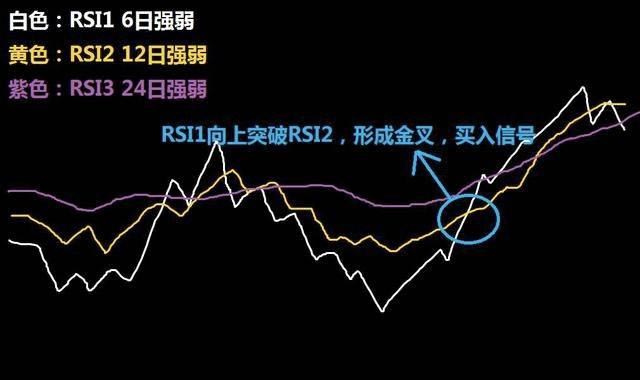 什么是Codex PBC？它如何构建全球电子现金系统？