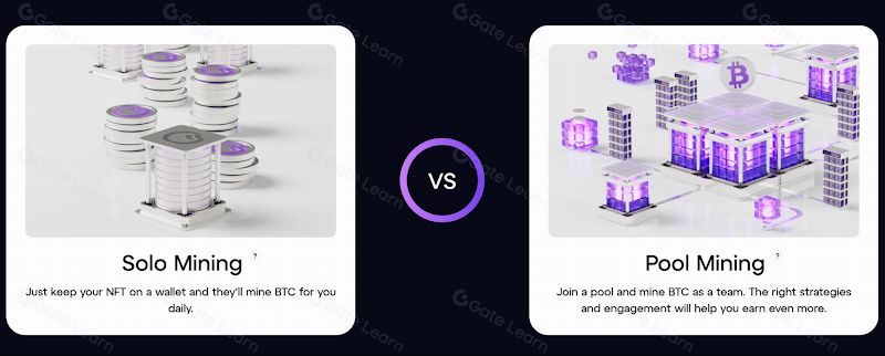CoinMarketCap为何推出两个加密货币基准指数？该举措如何推动加密货币价格普涨？