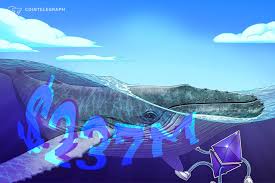 加密对冲基金为何2024年表现突出？为何仍未能跑赢比特币？